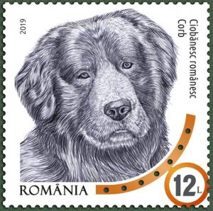 Colnect-5612-039-Romanian-Shepherd-Corb.jpg