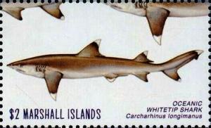 Colnect-6220-651-Oceanic-whitetip-shark.jpg