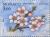 Colnect-149-594-Branch-of-an-almond-tree-in-Spring.jpg