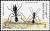 Colnect-4169-075-Desert-Giant-Ant-Camponotus-xerxes.jpg