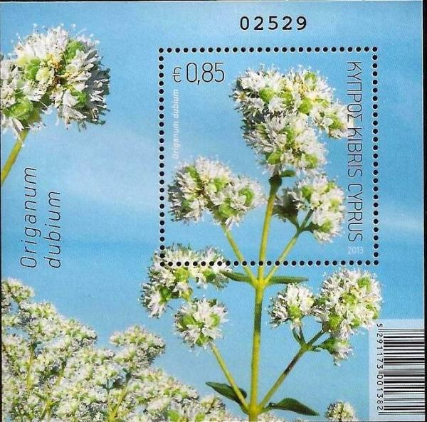 Colnect-2122-354-Origanum-dubium-Oregano.jpg