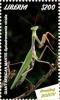 Colnect-5727-022-Giant-African-Mantis.jpg