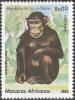 Colnect-1167-111-Chimpanzee-Pan-troglodytes.jpg