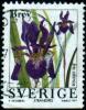 Colnect-1019-972-Siberian-Iris-Iris-sibirica.jpg