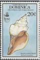 Colnect-2281-532-West-Indian-Chank-Shell-Turbinella-angulata.jpg