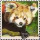 Colnect-3381-555-Red-Panda-Ailurus-fulgens.jpg