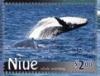 Colnect-4759-145-Humpback-Whale-Megaptera-novaeangliae-A-Calf-playing.jpg