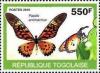 Colnect-5421-363-Papilio-antimachus.jpg