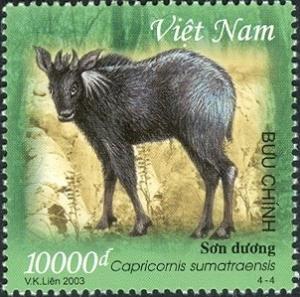 Colnect-1621-005-Serow-Capricornis-sumatraensis.jpg