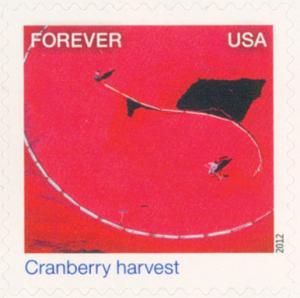 Colnect-1699-581-Earthscapes-Cranberry-harvest.jpg