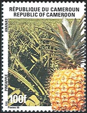 Colnect-2644-857-Pineapple-Ananas-comosus.jpg