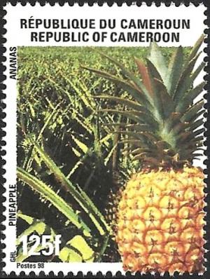 Colnect-2644-858-Pineapple-Ananas-comosus.jpg