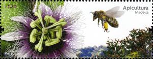 Colnect-2710-359-Bee-Apis-sp-approaching-a-Passionflower.jpg