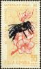 Colnect-5043-447-Honey-Bee-Apis-mellifera-on-Blossom.jpg