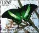 Colnect-4740-091-Papilio-palinurus.jpg