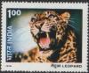 Colnect-1302-075-Leopard-Panthera-pardus.jpg