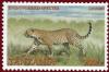 Colnect-1702-826-Leopard-Panthera-pardus.jpg