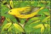 Colnect-1725-639-African-Yellow-Warbler%C2%A0Chloropeta-natalensis%C2%A0.jpg