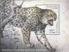 Colnect-197-215-Anatolian-Leopard-Panthera-pardus-tulliana.jpg