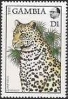 Colnect-2325-419-Leopard-Panthera-pardus.jpg