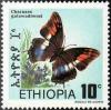 Colnect-2771-743-Ethiopian-Charaxes-Charaxes-galawadiwosi.jpg