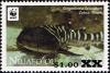 Colnect-2985-213-Zebra-Shark-Stegostoma-fasciatum.jpg