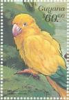 Colnect-3742-924-Golden-Parakeet-Guaruba-guarouba.jpg