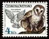 Colnect-3796-196-Barn-Owl-Tyto-alba.jpg