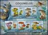Colnect-5528-309-Various-Mushrooms.jpg