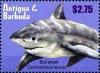 Colnect-5942-705-Bull-Shark-Carcharhinus-leucas.jpg