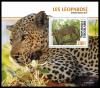 Colnect-7220-426-Leopard-Panthera-pardus.jpg