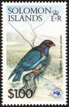 Colnect-772-064-Oriental-Dollarbird-Eurystomus-orientalis.jpg