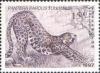 Colnect-806-516-Anatolian-Leopard-Panthera-pardus-tullianus.jpg