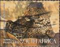 Colnect-3372-485-Leopard-Panthera-pardus.jpg