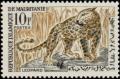 Colnect-872-005-Leopard-Panthera-pardus.jpg