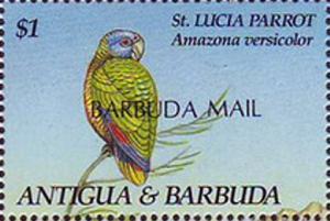 Colnect-2182-724-St-Lucia-Parrot-Amazona-versicolor-.jpg