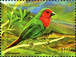 Colnect-2565-656-Red-throated-Parrotfinch-Erythrura-psittacea.jpg