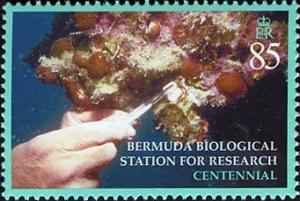 Colnect-2599-818-Researcher-probing-reef.jpg