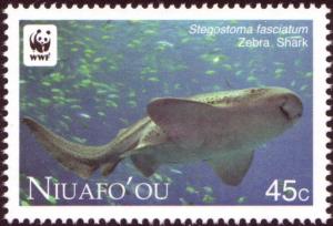 Colnect-4799-567-Zebra-shark-Stegostoma-fasciatum.jpg