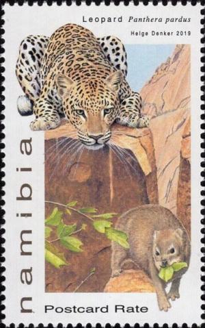 Colnect-6076-032-Leopard-Panthera-pardus.jpg