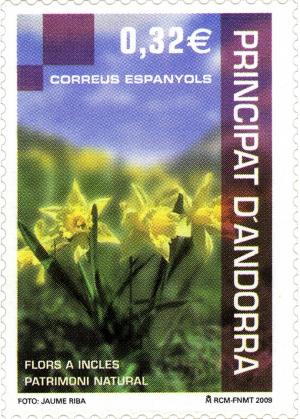 Colnect-685-501-Daffodil-Narcissus-pseudonarcissus.jpg