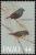 Colnect-1637-987-Blue-faced-Parrotfinch-Erythrura-tichroa.jpg