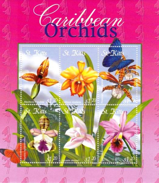 Colnect-3483-410-Caribbean-Orchids.jpg