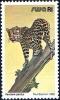 Colnect-5482-547-Leopard-Panthera-pardus.jpg