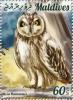 Colnect-5692-776-Short-eared-Owl-Asio-flammeus.jpg