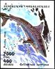 Colnect-5994-605-School-Shark-Galeorhinus-zyopterus.jpg