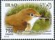Colnect-1617-903-Eurasian-Reed-warbler-Acrocephalus-scirpaceus.jpg
