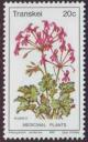 Colnect-1712-331-Pelargonium-reniforme.jpg