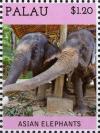 Colnect-4910-059-Asian-elephants.jpg
