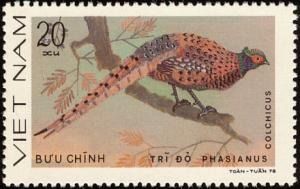 Colnect-1613-199-Common-Pheasant-Phasianus-colchicus.jpg